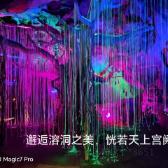 流香干煸老鸭(黄流店) User Photo
