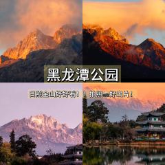 Wish you were here User Photo