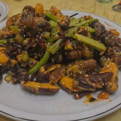 成浩朝族飯店張用戶圖片