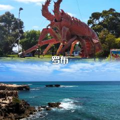 Sky Seafood User Photo