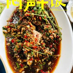 功夫鱼庄 User Photo