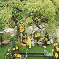 24H color咖啡廳張用戶圖片