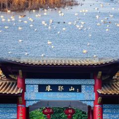 雷官板鸭 User Photo