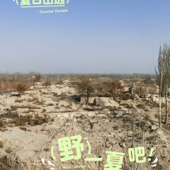 古老烤肉店قەدىمى تونۇر كاۋاپخانسى User Photo