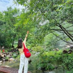 holymen后门儿咖啡店 User Photo