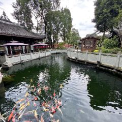 祥侬国鸡宴·青城山下柴火鸡 User Photo