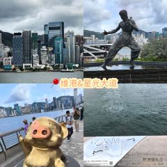 華香園張用戶圖片