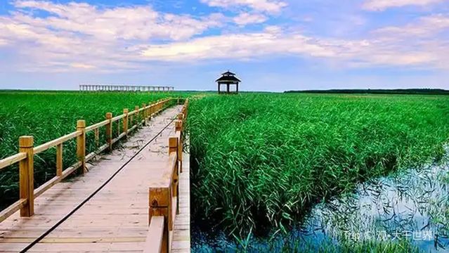 ji lin niu xin tao bao guo jia shi di gong yuan