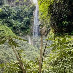 XIEXIAOJIU HOTPOT User Photo