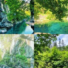 SUN RESTAURANT User Photo