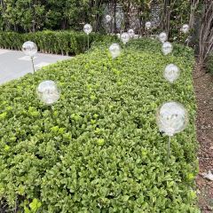 龍鳳麵館張用戶圖片