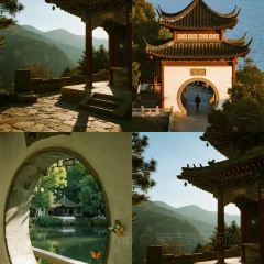 三中高皇羊肉館張用戶圖片