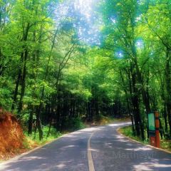 Zhan yi gong shi la zi Chicken (zhan yi) User Photo