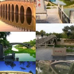 海星辰海鲜大排档(黄金海岸店) User Photo