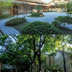 廖姐韭菜粉丝粿 User Photo