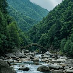 XIAO CAI YUAN User Photo