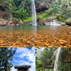 昌隆·家家鹅乡·海南菜 User Photo