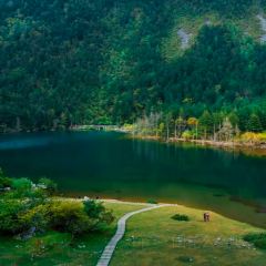 MALAYA TIBETAN RESTAURANT User Photo