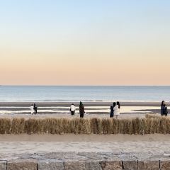 Bar Lotus User Photo