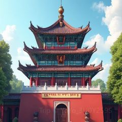 AWU YELLOW RIVER COMMON CARP 여행 사진