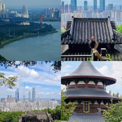 邕味老友張用戶圖片