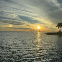 Rusty Pelican - Tampa User Photo