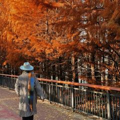 在咖啡INCOFFEE(融侨外滩壹号店) User Photo