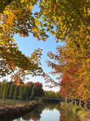 徐州紅楓公園