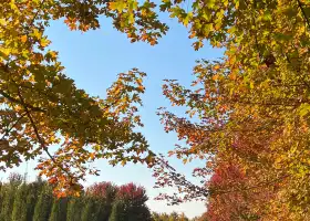 徐州紅楓公園