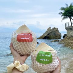 椰锋六年二班椰子冻(巽寮湾店) User Photo