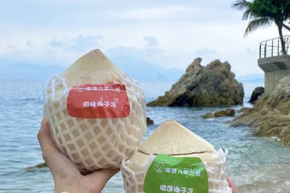 椰鋒六年二班椰子凍