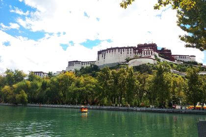 拉萨雪莲花观景酒店·雪莲花观景藏餐厅