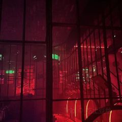 Orangutan Bunker User Photo