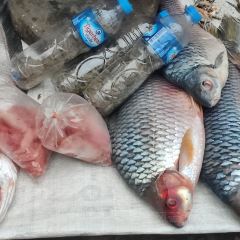 Tangor Restaurant Bar & Lounge User Photo