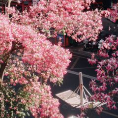 小康生活(碧水花城店) User Photo