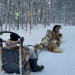 McDonald's 여행 사진