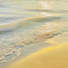 海边渔家 User Photo