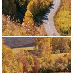 黑山头 User Photo