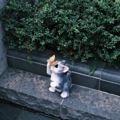 老裴鸭头.兔头 User Photo