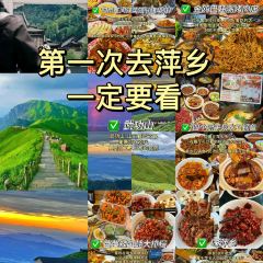 WEI PING XIANG SI GU CAI GUAN User Photo