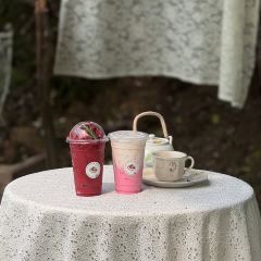 Botanica house User Photo