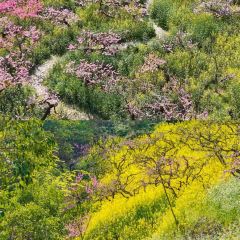 城山沟桃源山庄 User Photo