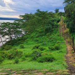 Seasons Elementaita Country Lodge User Photo