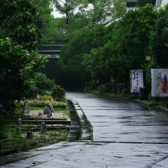 博陽開元名庭酒店·江南苑中餐廳（南潯店）張用戶圖片