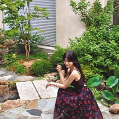 MO LI GUAN CHAO User Photo