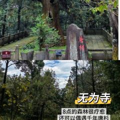 chunsheng 여행 사진