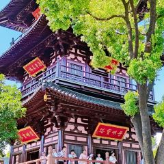 卧龙泉农庄 여행 사진