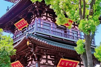 卧龙泉农庄
