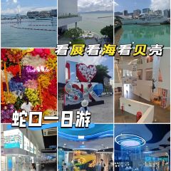 Jia jun ba bao niu za 여행 사진