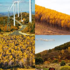 村里香农家菜 User Photo